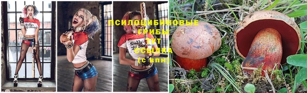 бошки Верхнеуральск